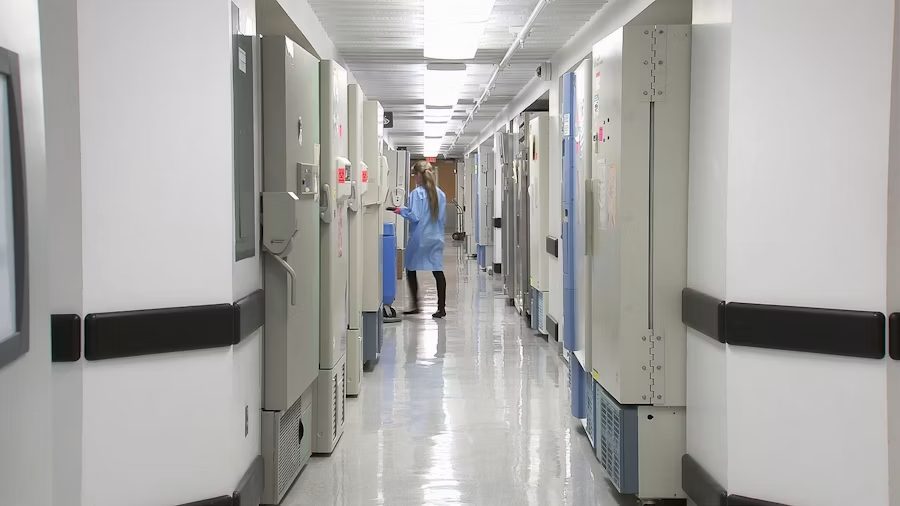 Erro Médico